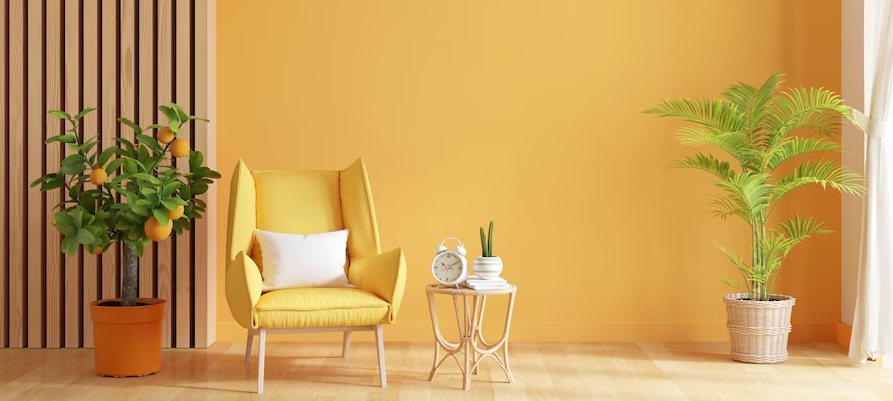 Why Your Home Deserves a Professional Touch